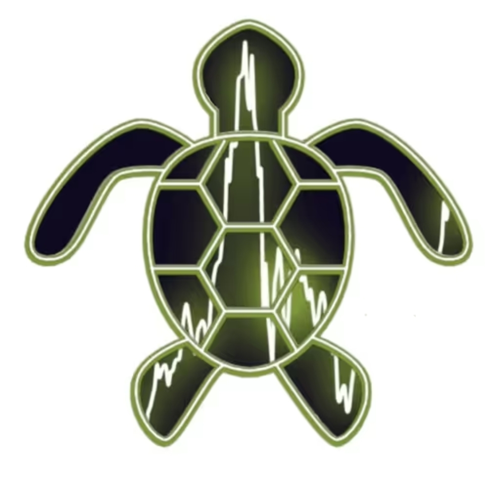 Featured Turtle NFT